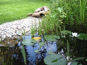 Fertigteich einbauen