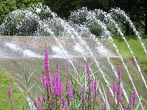 Springbrunnen
